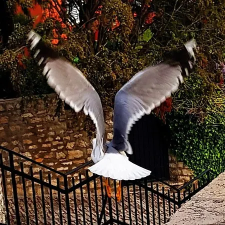 My Loving アパート ロヴィニ